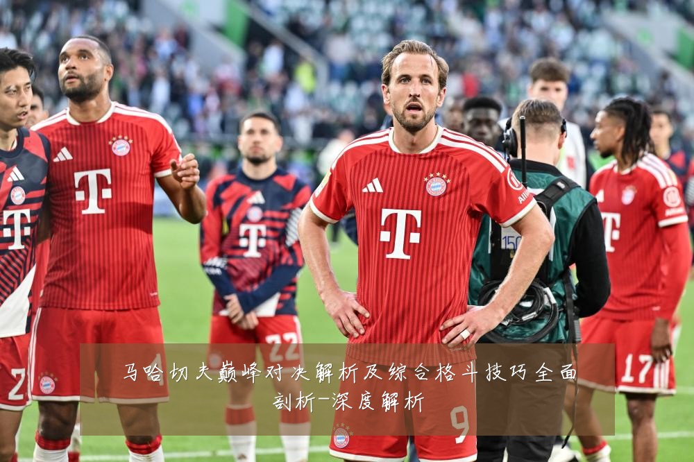 马哈切夫巅峰对决解析及综合格斗技巧全面剖析-深度解析